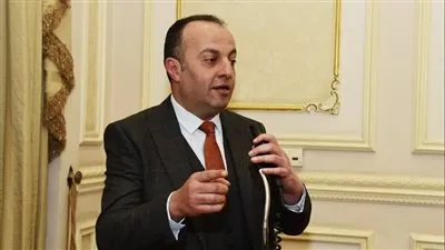 برلماني: بيان الخارجية الألمانية مرفوض ولدينا دستور يضمن الفصل بين السلطات 