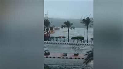 الثلج يحول الإسكندرية إلى مدينة أوروبية.. شاهد الوضع في عروس البحر المتوسط