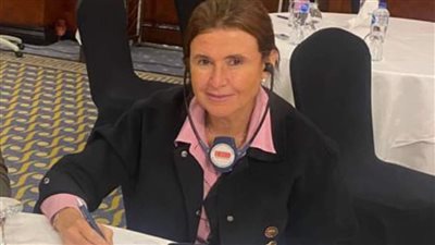 برلمانية: ناقشنا قانون العمل البحري وحماية البحارة خلال جلسة معايير العمل الدولية