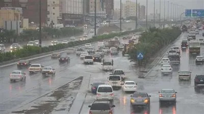 الأرصاد: نسبة سقوط أمطار في القاهرة 20% (فيديو)