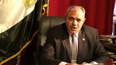 مصيلحي: الإرادة السياسية للسيسي أحيت مشروع توشكى ووضعته على الطريق الصحيح