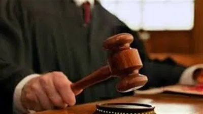 من هاتفك المحمول.. ننشر خطوات الاستعلام عن موعد جلسات المحاكمة خلال 60 ثانية