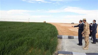 التنمية الزراعية: 50% النسبة المتوقعة لتقليل الفجوة الاستيرادية بسبب إحياء 