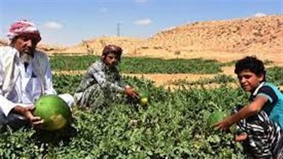 خبير: المشروعات القومية تملأ الفراغ الجغرافي في سيناء لحماية الأمن القومي