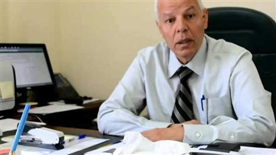 أسامة شلبية: صناعة الفضاء أمن قومي.. وهي مستقبل الأرض