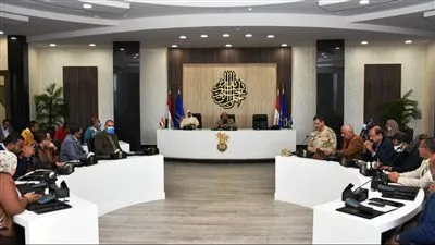 تفاصيل اجتماع محافظ أسوان بالمجلس التنفيذى