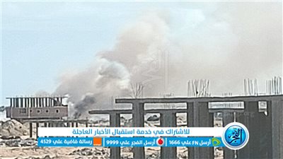 الحماية المدنية تحاول السيطرة على حريق بمحيط الغابة الشجرية بالغردقة (صور)