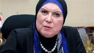 وزيرة الصناعة: تم إقامة 13 مجمع صناعي.. 10 منهم في صعيد مصر (فيديو)