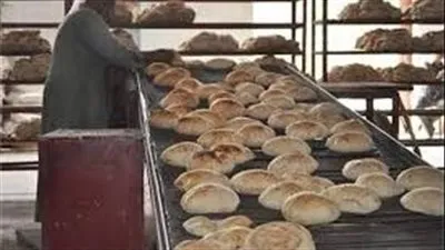 عاجل..وزير التموين: ندرس رفع الدعم عن رغيف الخبز (فيديو)