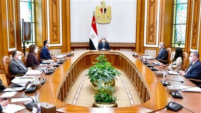 توجيهات عاجلة من الرئيس السيسي للمجموعة الوزارية الاقتصادية