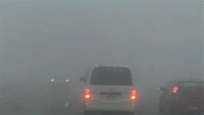 شبورة على الطرق غدا.. 10 نصائح هامة لقيادة آمنة