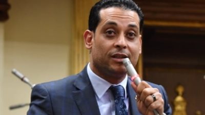 برلماني: مصر حريصة على خروج قمة المناخ المُقبلة بصورة مشرفة عالميًا