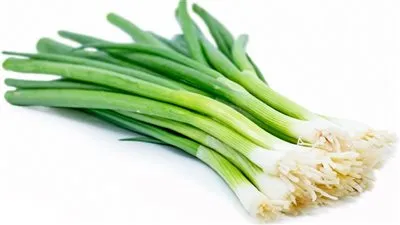 غني بالفيتامينات والمعادن.. تعرف على فوائد تناول البصل الأخضر