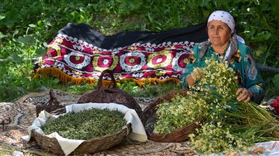 أستاذ نباتات عطرية: مصر تغذي العالم بـ30% من مواد خام صناعة العطور (فيديو)