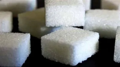 التموين: ضخ 800 مليون جنيه كمرحلة أولى لإعادة هيكلة مصنع سكر إدفو