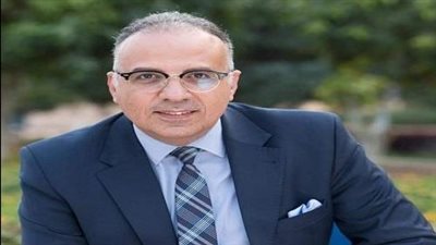 أكاديمي: مشروعات إدارة منظومة المياه في مصر غير مسبوقة (فيديو)