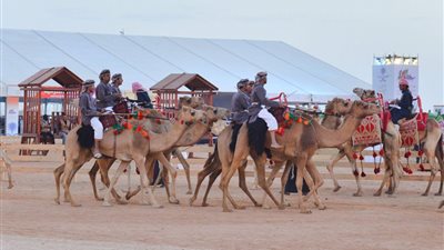 مهرجان الملك عبدالعزيز للإبل يحرك عجلة الاقتصاد في المناطق القريبة من المهرجان