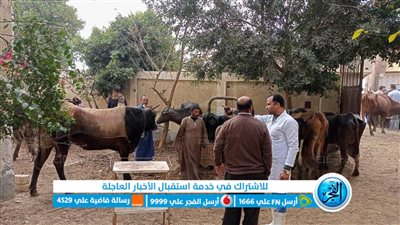 قافلة بيطرية لتنمية الثروة الحيوانية بقرية الخواجات ضمن 