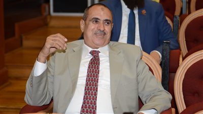 برلماني: تفعيل منصة حوار بين الشباب المصري والعالمي يعزز تبادل الرؤى