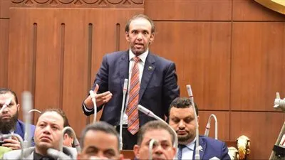 برلماني: منح الأب إجازة لرعاية الأم والطفل يتسق مع استراتيجية حقوق الإنسان