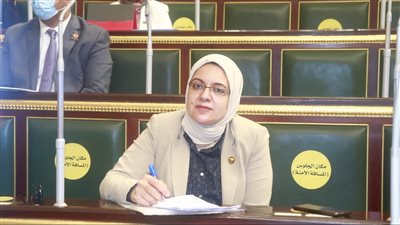 برلمانية: قرارات السيسي أدخلت السعادة على نفوس الملايين من المواطنين