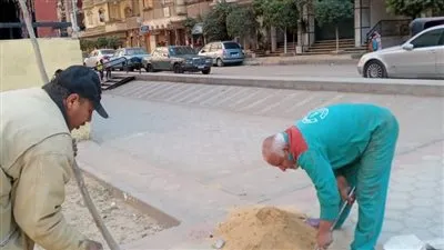 زراعة 100 شجرة بمشروع أهالينا بحي السلام أول