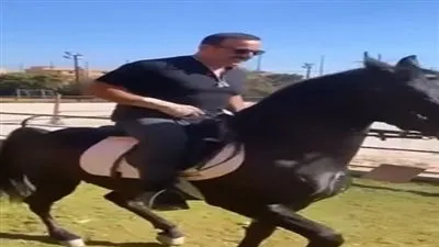 أحمد السقا مطلوب على جوجل بعد رقصه بالحصان على 