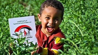 بيان عاجل من الحكومة بشأن وقف برنامج التحويلات النقدية 