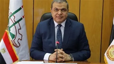 القوى العاملة: تعيين 5117 شابا واستخراج 3521 شهادة مهارة بالجيزة