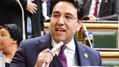 برلماني: سياسة مصر الخارجية منفتحة شرقا وغربا