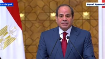 السيسي: توافق في الرؤى بين مصر والجزائر بشأن الأزمة الليبية (فيديو)