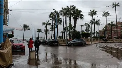 «العاصفة هبة» تضرب سواحل الإسكندرية مع أجواء نوة الكرم (فيديو وصور)