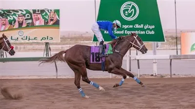 ميدان الملك سعود للفروسية بمنطقة القصيم يقيم حفل سباقة السابع عشر