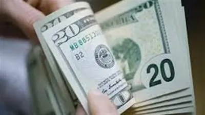 أسعار الدولار فى مصر خلال التعاملات المسائية 