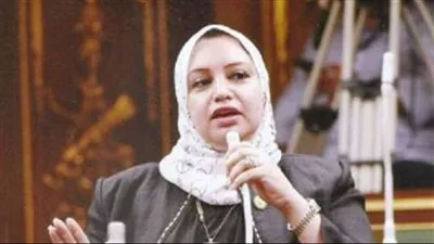 نموذج يهتدي به.. برلمانية: الدول تأتى لمصر لأخذ الخبرة المصرية