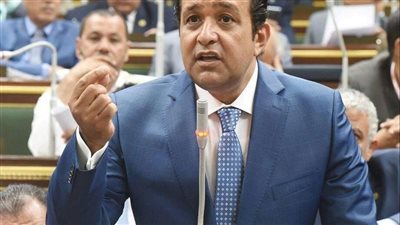 نائب رئيس البرلماني العربي يطالب بتنفيذ توجيهات الرئيس لإخلاء التيارات الإرهابية 