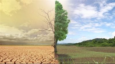 عضو القومي للمرأة تكشف عن استعدادات المجلس للمشاركة في مؤتمر تغير المناخ(فيديو)