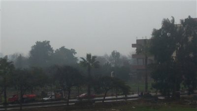 أمطار غزيرة تضرب بعض قرى ومراكز محافظة المنوفية