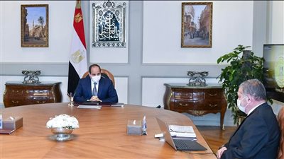 عاجل.. السيسي يصدر توجيها جديدا للحكومة بشأن السيارات الكهربائية