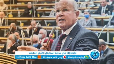 برلماني: مبادرة 