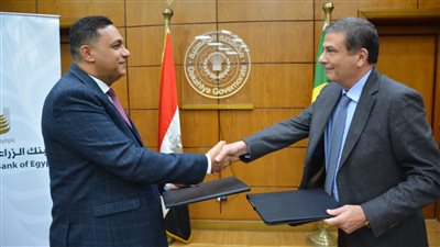 تعرف على طريقة استبدال السيارات القديمة بجديدة في الدقهلية (صور) 