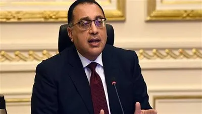 رئيس الوزراء: التسجيل المسبق للشحنات إلزاميًا بداية مارس المقبل 