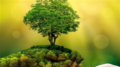 السفير أحمد أبوالمجد يكتب: كوكب أخضر(١)