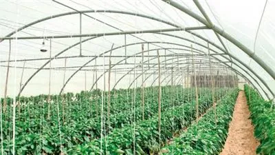 أمير عسير يرعى ورشة تعزيز الغطاء النباتي بمحافظة بلقرن