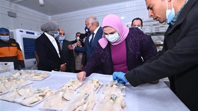 وزيرة التضامن تتفقد واحة الحرير بالوادي الجديد (صور)