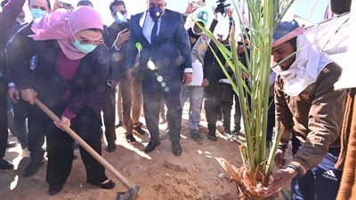 وزيرة التضامن تغرس نخلة ضمن مبادرة وقف النخيل بالوادي الجديد