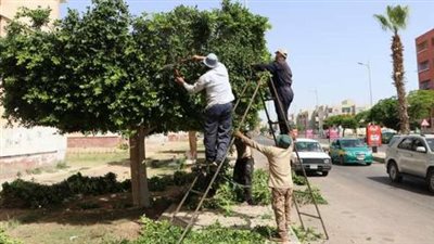 توضيح مهم من 