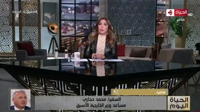 دبلوماسي: التقارب المصري الجزائري ركيزة استعادة الاستقرار بشمال إفريقيا (فيديو)