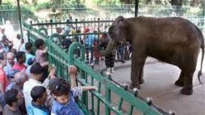 عاجل.. وزارة الإنتاج الحربي تتعاون مع الزراعة في تطوير حديقتيّ 