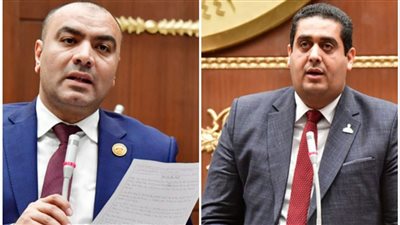 نواب دمياط يعلنون الموفقة النهائية على قانون العمل 